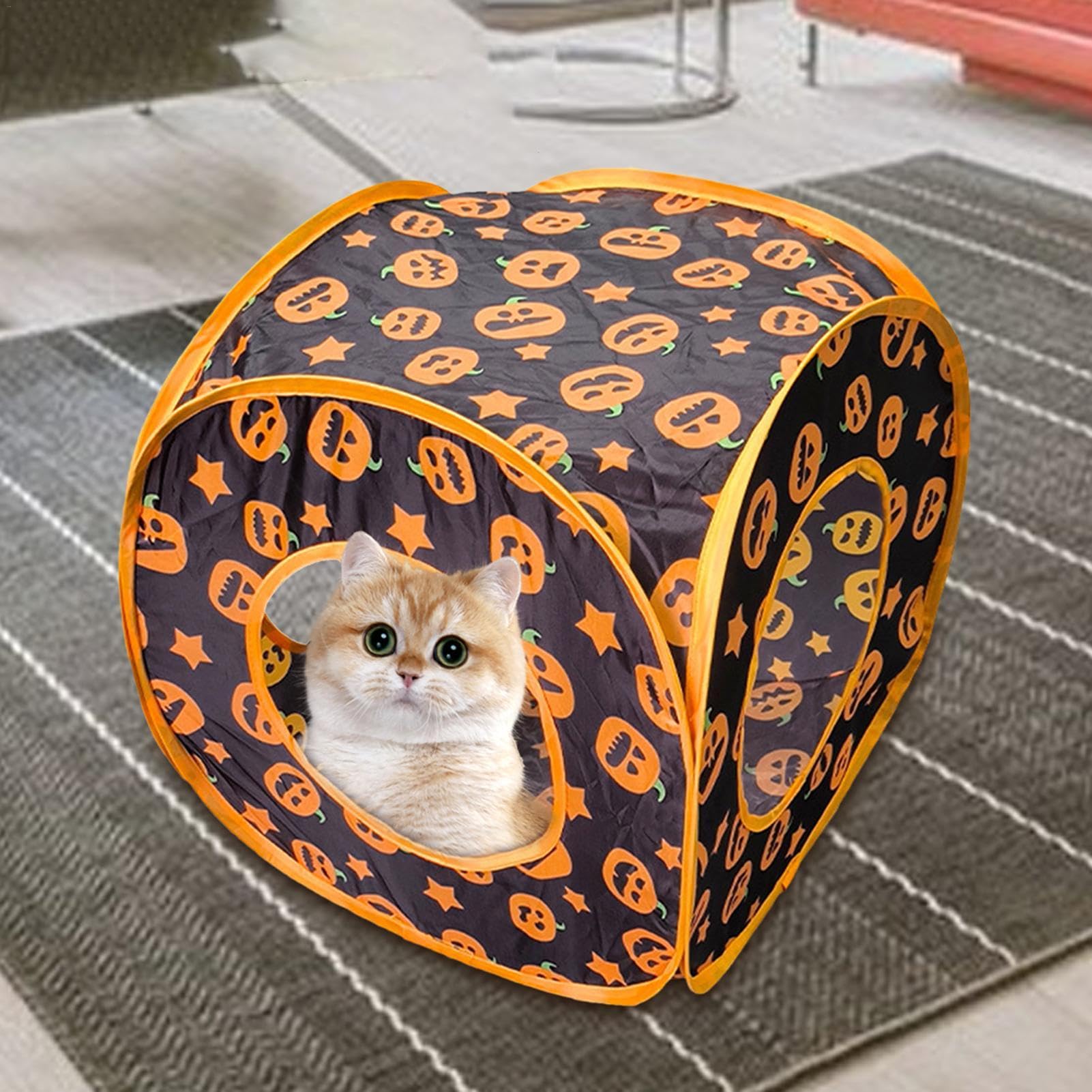 Amazon.co.jp: 猫のトンネル、子猫のトンネル | 折りたたみのぞき穴